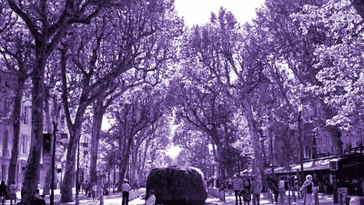Aix-en-Provence, France — panoramic view of Mirabeau Boulevard