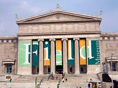 Field Museum, a museum in Chicago, United States