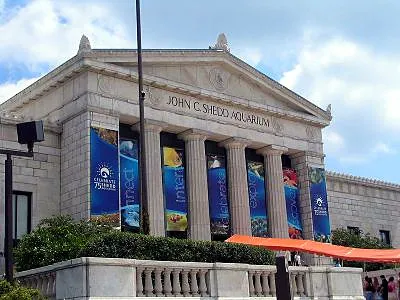 Shedd Aquarium, an aquarium in Chicago, United States