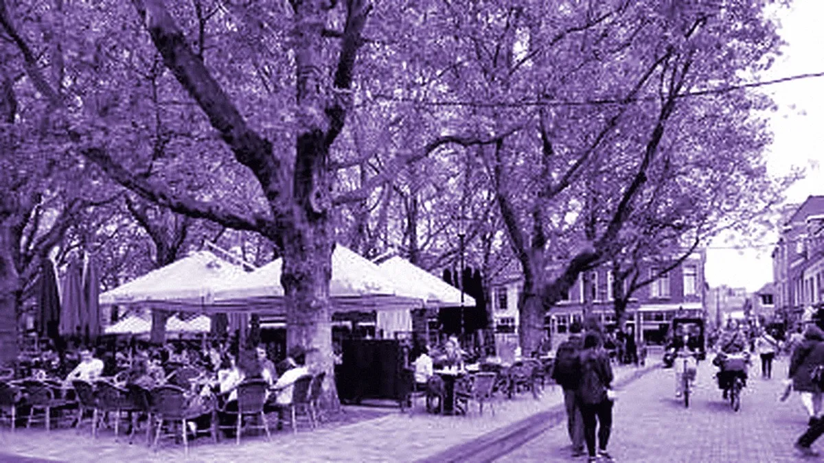 Delft, Netherlands — panoramic view of Animal Market