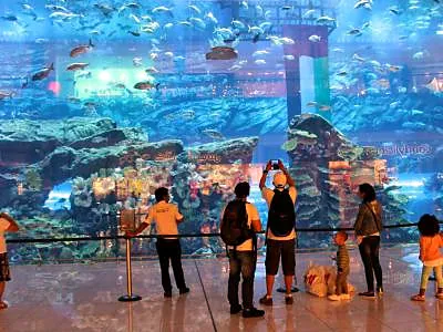 Dubai Aquarium and Underwater Zoo, a zoo in Dubai, United Arab Emirates