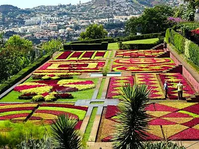 Botanical Garden, a botanical garden in Funchal, Portugal