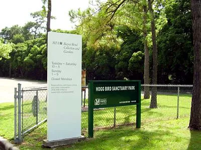 Bayou Bend Collection and Gardens, a garden in Houston, United States