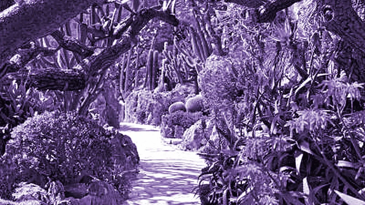 Monte-Carlo, Monaco — panoramic view of Exotic Garden of Monaco