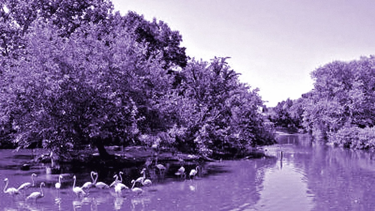Saint Louis, United States — panoramic view of St. Louis Zoo
